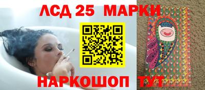 дмт Камышлов